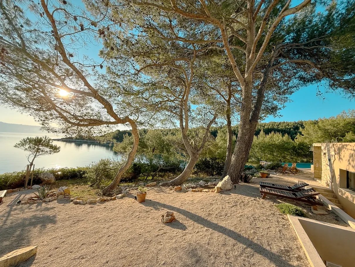 Villa Aqua exterior at dusk among pine trees